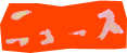 ニュース